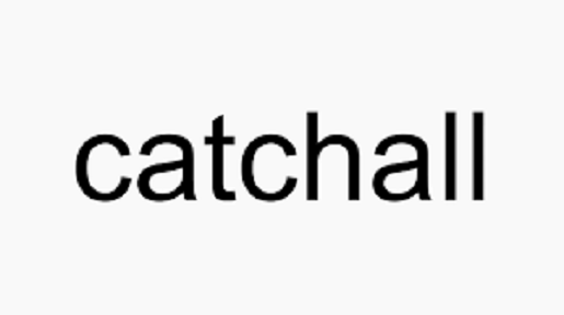 Is Catchall legit and safe