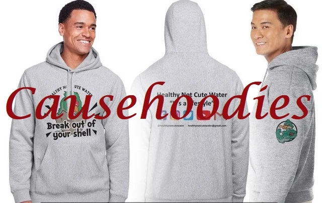 Is Causehoodies legit and safe