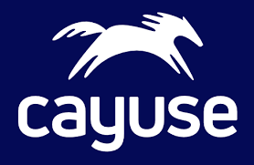 Is Cayuse legit and safe
