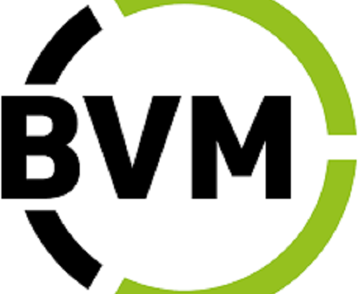 Is BVM Legit and Safe