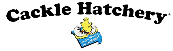 Is Cackle Hatchery Legit and Safe