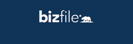 Is Busfile Legit and Safe or a Scam