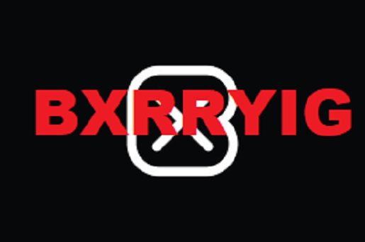 Is Bxrryig Legit and Safe