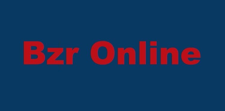 Is Bzr Online Legit and Safe