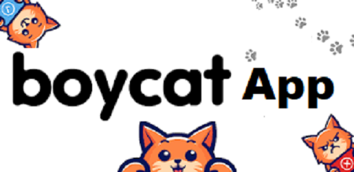 Is Boycat App Legit and Safe or a Scam