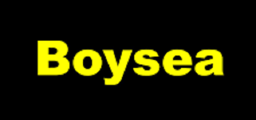 Is Boysea Legit and Safe or a Scam