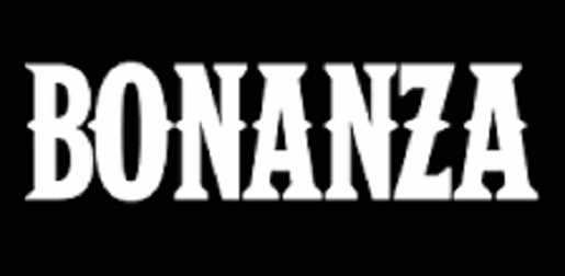 Is Bozana Legit and Safe or a Scam