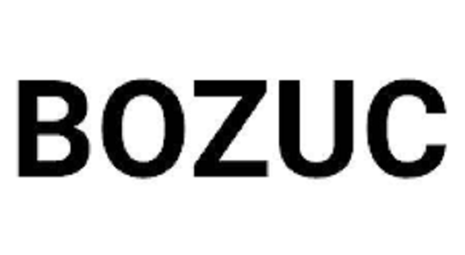 Is Bozuc Legit and Safe or a Scam