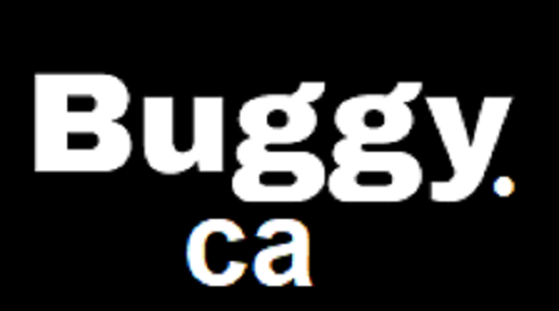 Is Buggy.ca Legit and Safe or a Scam