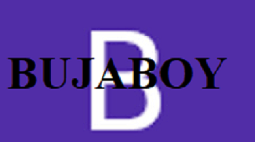Is Bujaboy Legit and Safe or a Scam