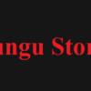 Is Bungu Store Legit and Safe or a Scam