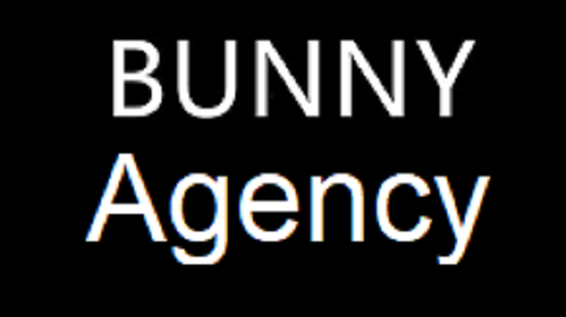 Is Bunny Agency Legit and Safe or a Scam