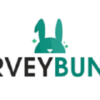Is Bunny Survey Legit and Safe or a Scam