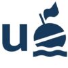 Is Buoy Legit and Safe or a Scam