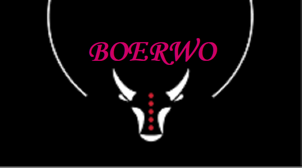 Is Boerwo Legit and Safe or a Scam?