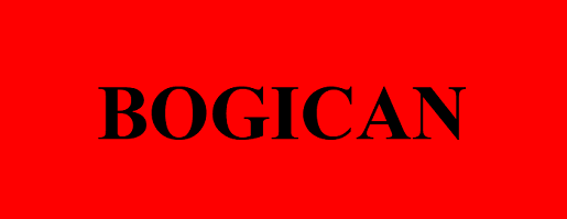 Is Bogican Legit and Safe or a Scam