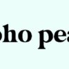 Is Boho Peak Legit and Safe or a Scam