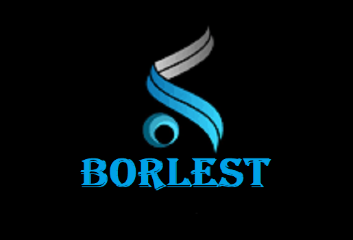 Is Borlest Legit and Safe or a Scam