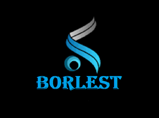 Is Borlest Legit and Safe or a Scam