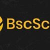 Is BscScan Legit and Safe or a Scam