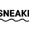 Is Dksneakers.net Legit and Safe or a Scam