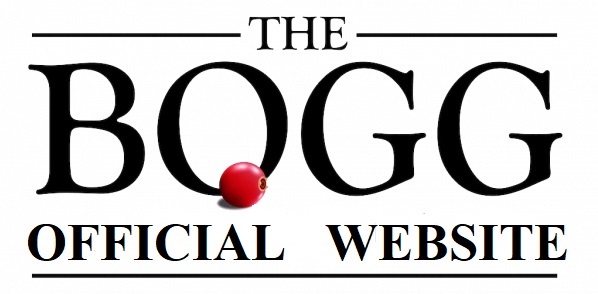 Is the Bogg Official Website Legit and Safe or a Scam