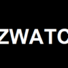 Is Czwatch Legit and Safe or a Scam?