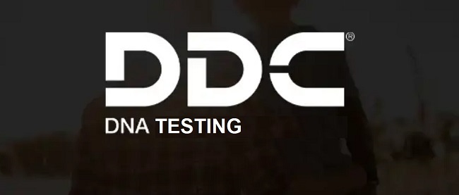 Is DDC DNA Testing Legit and Safe or a Scam