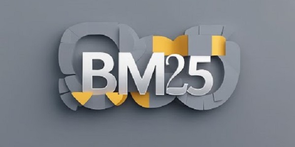 Is BM25 Legit and Safe or a Scam