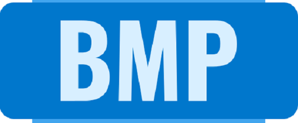 Is BMP Legit and Safe or a Scam