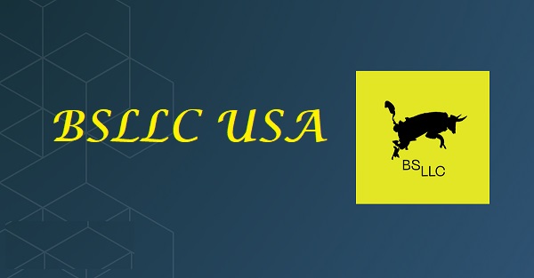 Is BSLLC USA Legit and Safe or a Scam