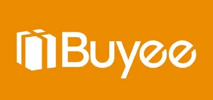 Is Buyee Legit and Safe or a Scam