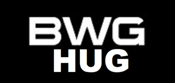 Is BWG Hug Legit and Safe or a Scam