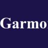 Is CGarmors Legit and Safe or a Scam