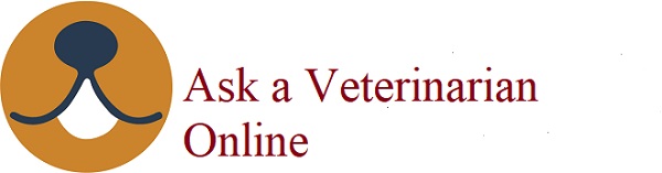 Is Ask a Veterinarian Online Legit and Safe or a Scam