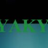 Is Ayakyoi Legit and Safe or a Scam