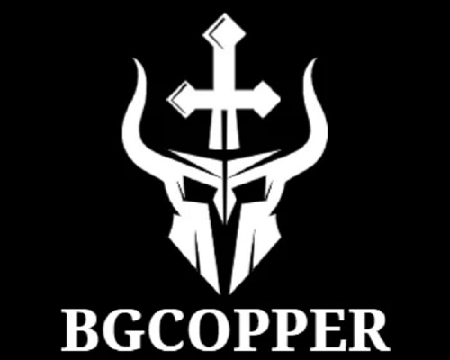 Is BGCOPPER Legit and Safe or a Scam