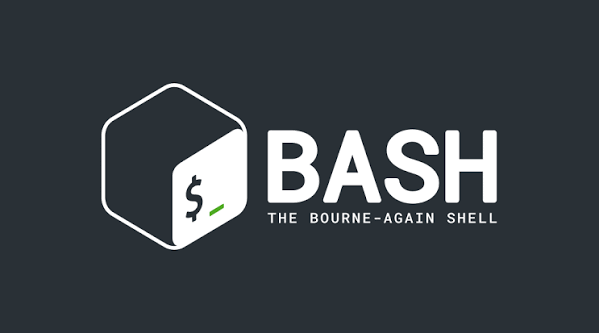 Is Bash Legit and Safe or a Scam