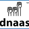 Is Bdnaash Legit and Safe or a Scam