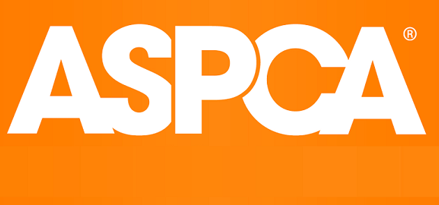 Is the ASPCA Legit and Safe or a Scam
