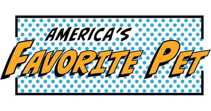 Is America’s Favorite Pet Legit and Safe or a Scam